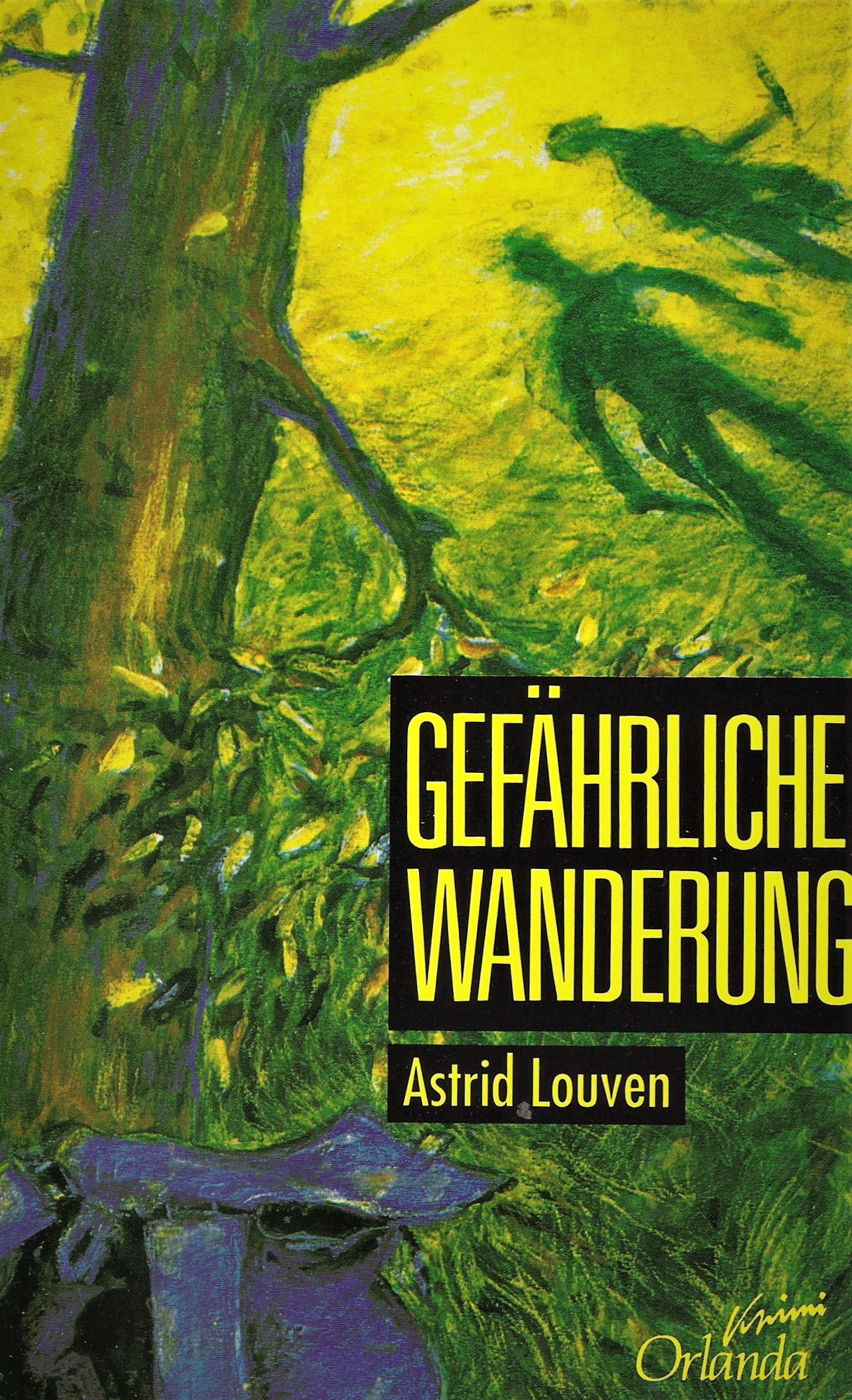 Buchumschlag Gefährliche Wanderung 1992